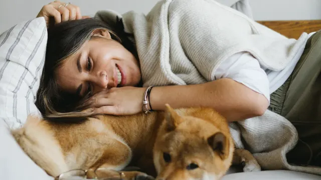 A small dog lying calmly on a rug beside its owner's feet