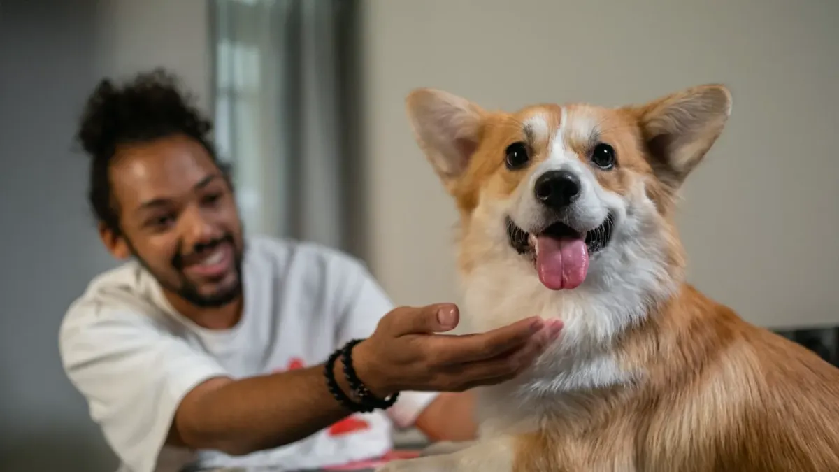 A veterinarian reviewing a supplement label with a dog owner during an exam room visit