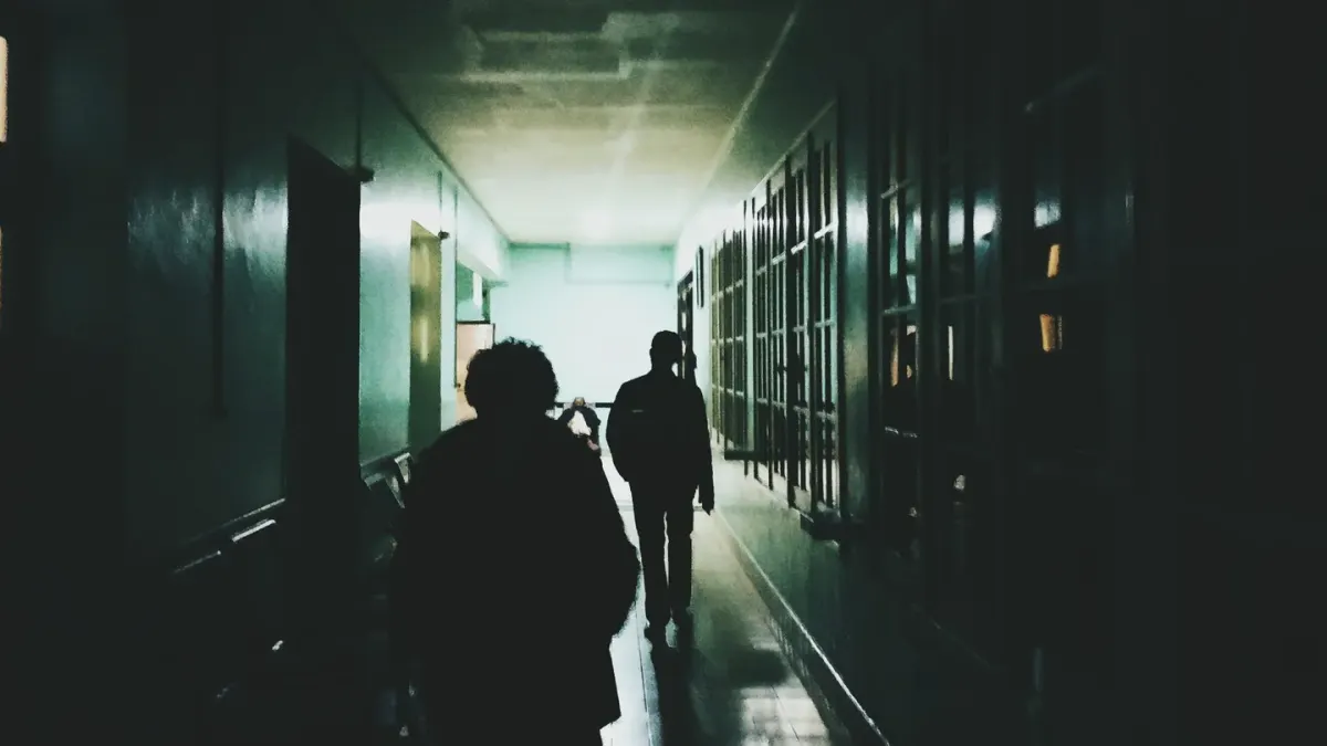 An elderly dog standing alone in a dim hallway at night