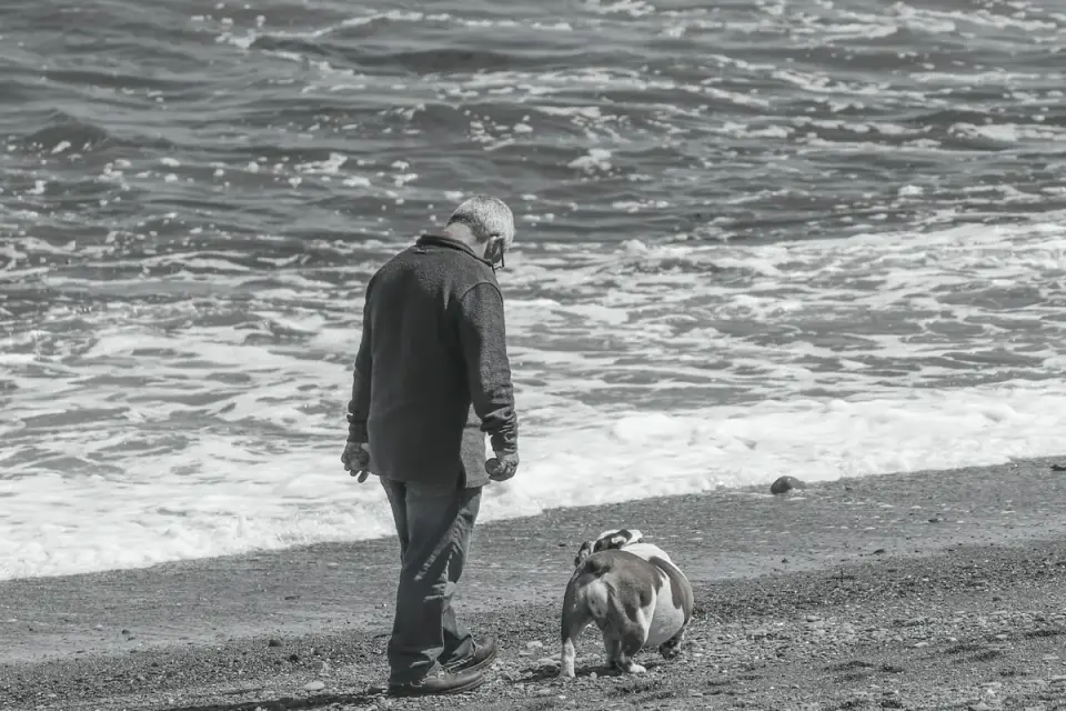 An elderly owner walking slowly alongside a gray-muzzled senior dog outdoors