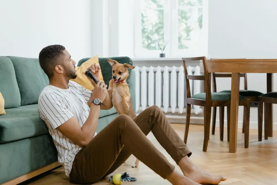 An owner handing a small chewable supplement to their dog in a home kitchen