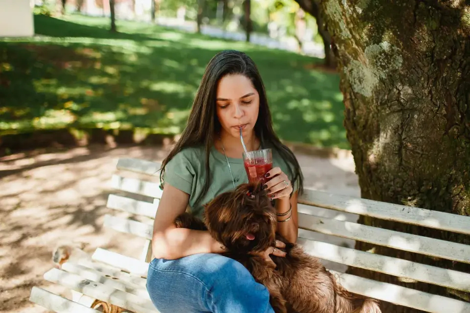 Dog drinking water
