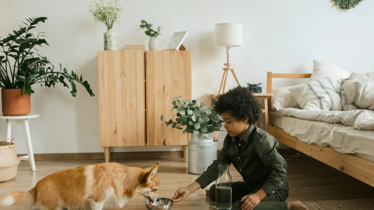 Dog eating from a bowl at home