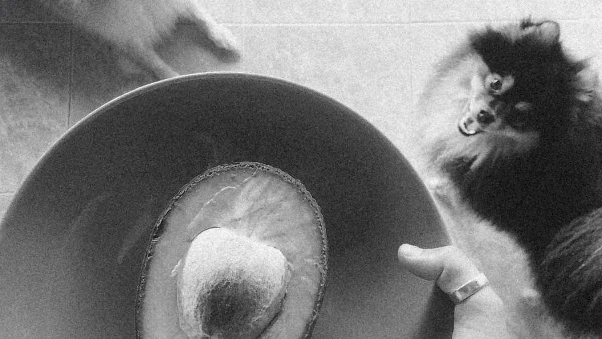Dog eating from a bowl at home