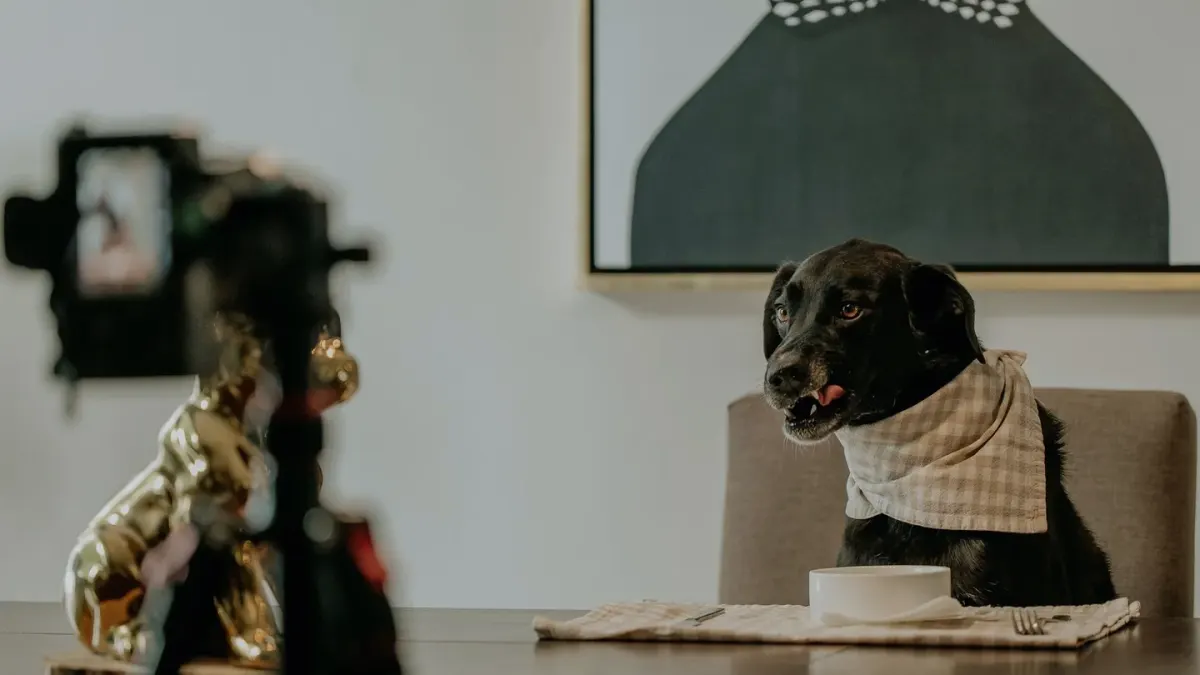 Dog eating from a bowl at home
