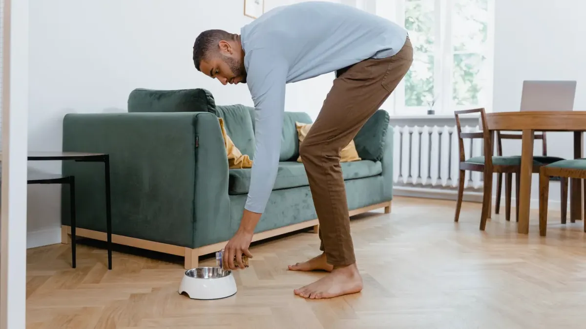 Dog eating from bowl at home