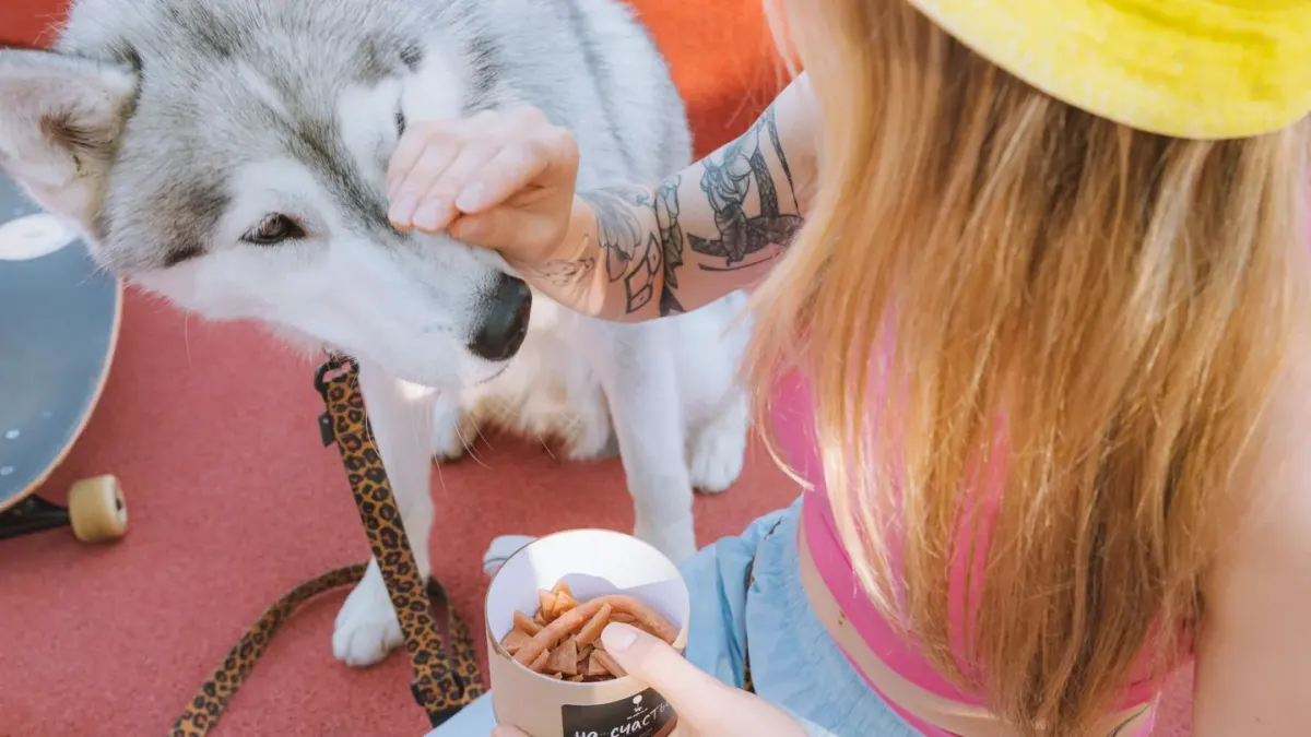 Dog eating outdoors