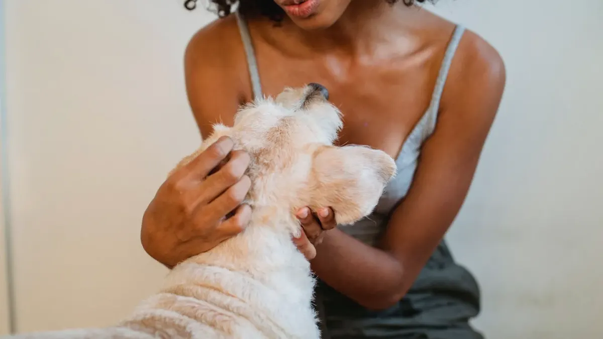 Dog in a kitchen with an owner