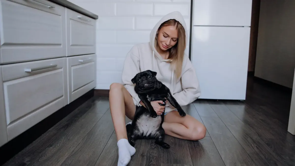 Dog in a kitchen with an owner