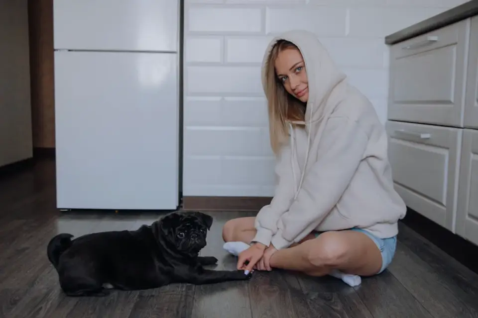 Dog in a kitchen with an owner