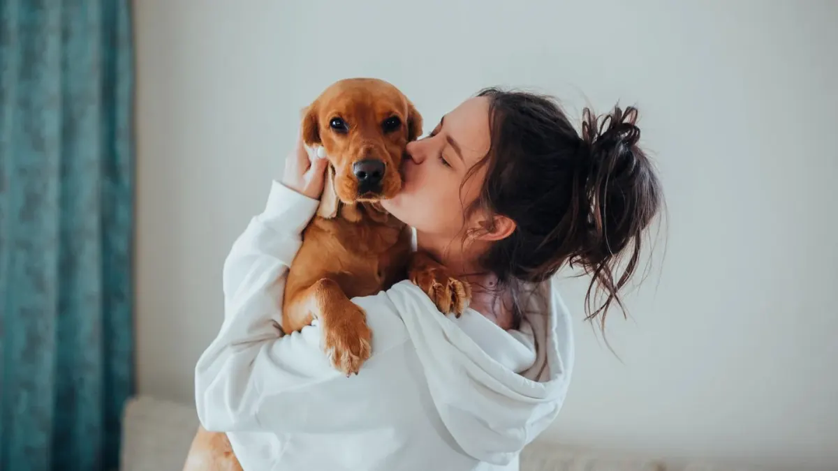 Dog in a kitchen with an owner