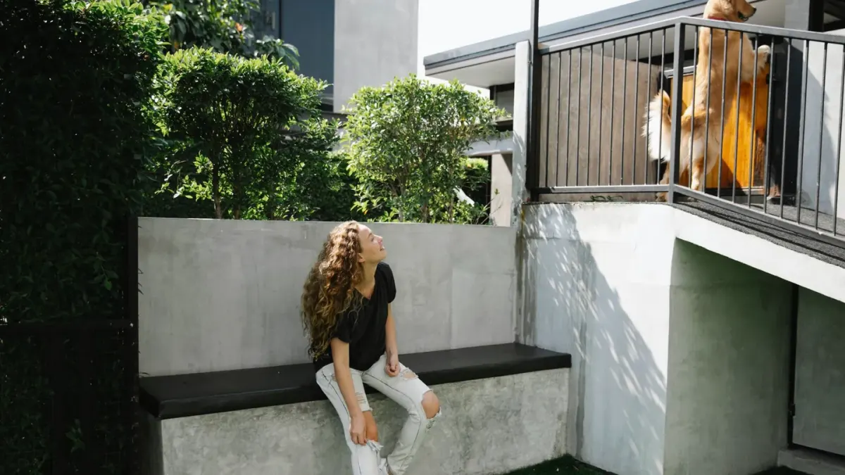 Dog on stairs