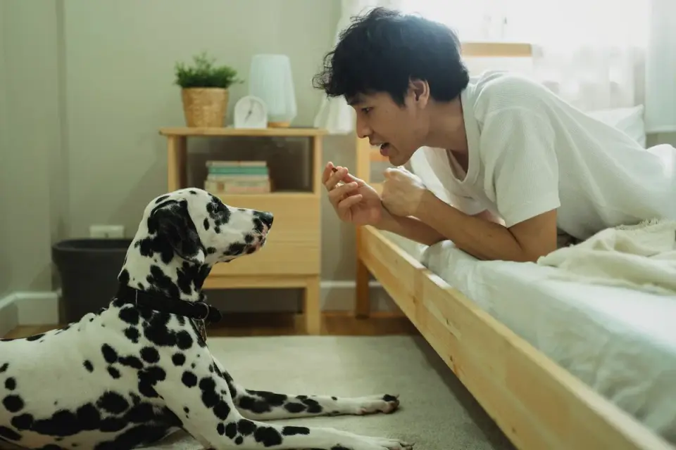 Dog owner at home