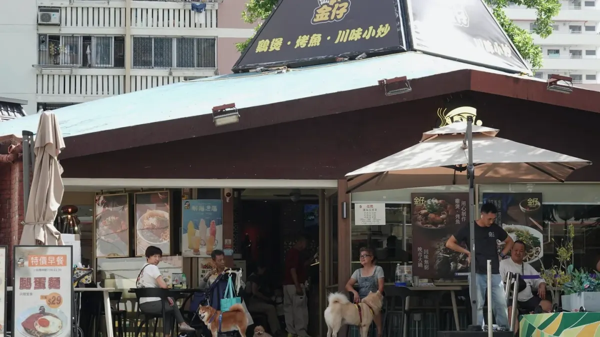 Dog owner preparing a meal