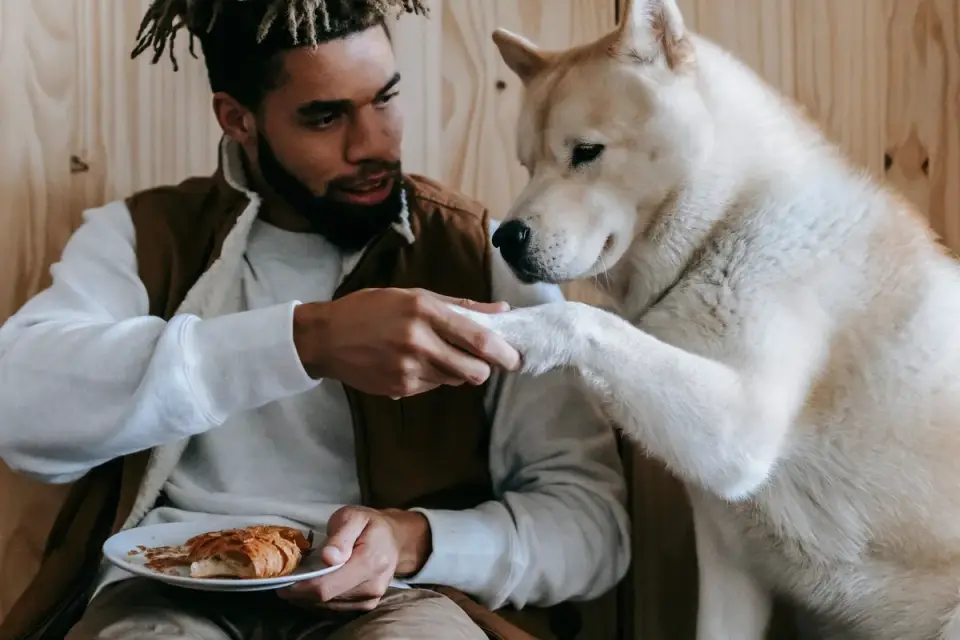 Dog owner preparing a meal