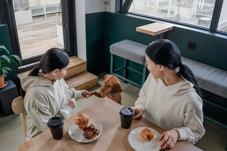 Dog owner preparing dog food kitchen
