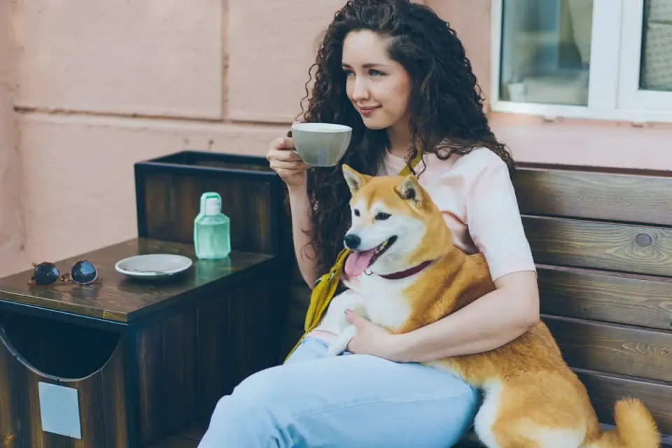 Dog owner reading a supplement label in a kitchen