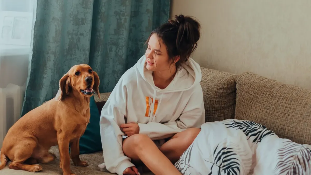 Dog resting beside an owner