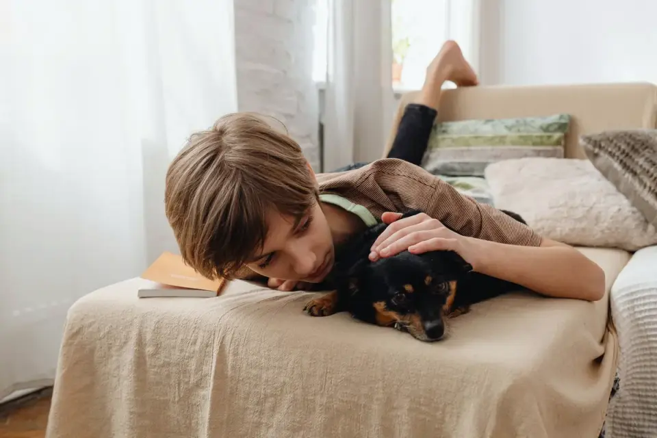 Dog resting beside an owner