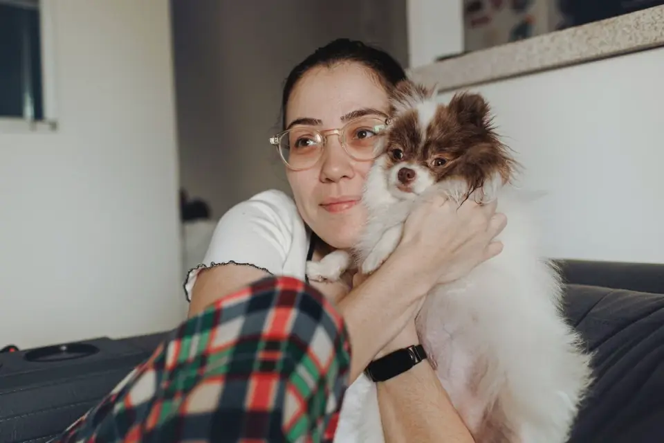 Dog resting beside an owner