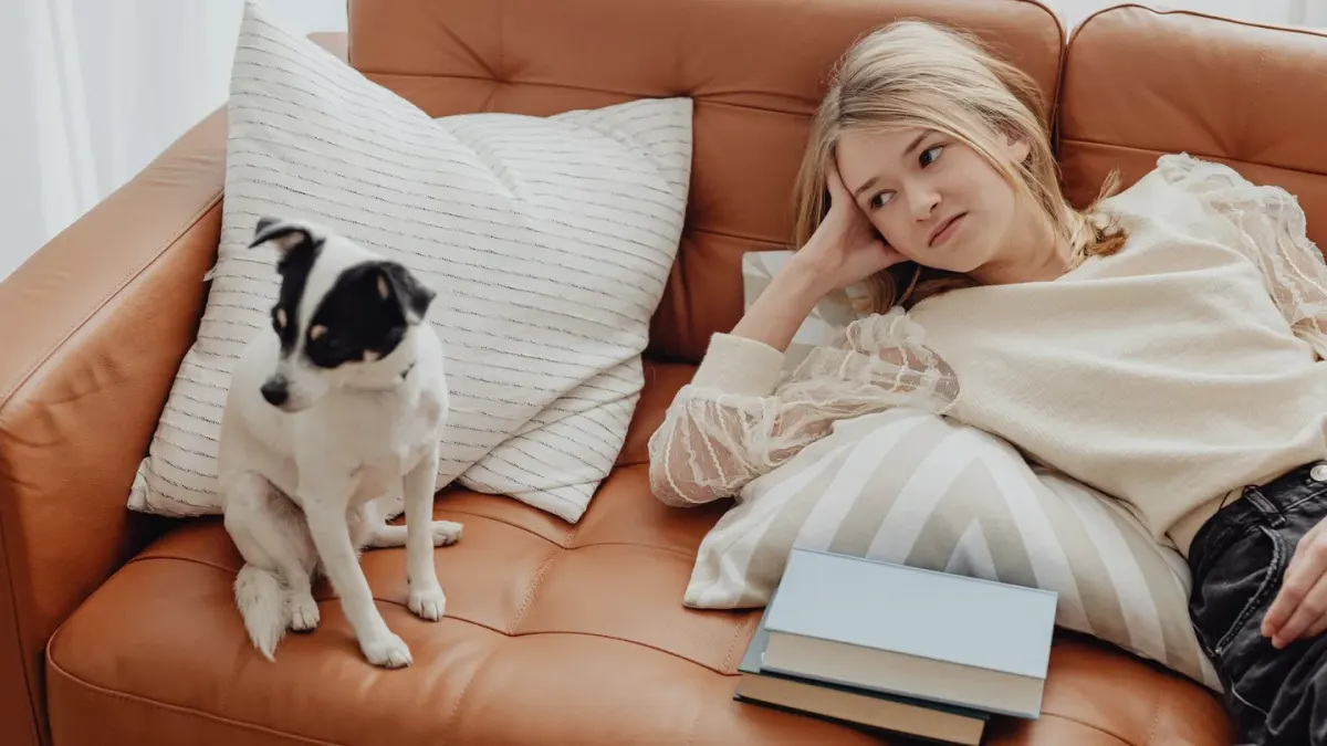 Dog resting beside an owner