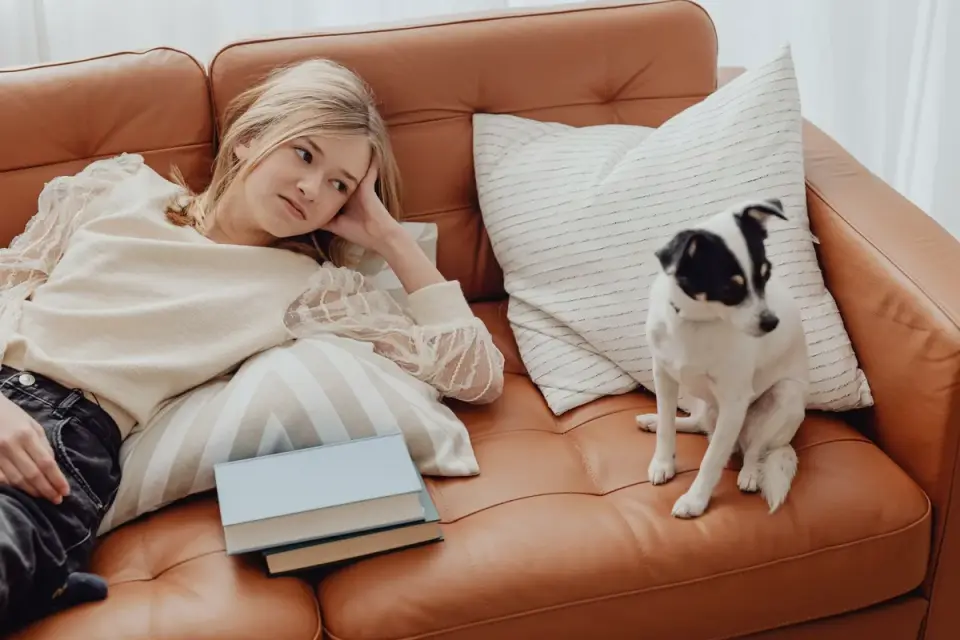 Dog resting beside an owner