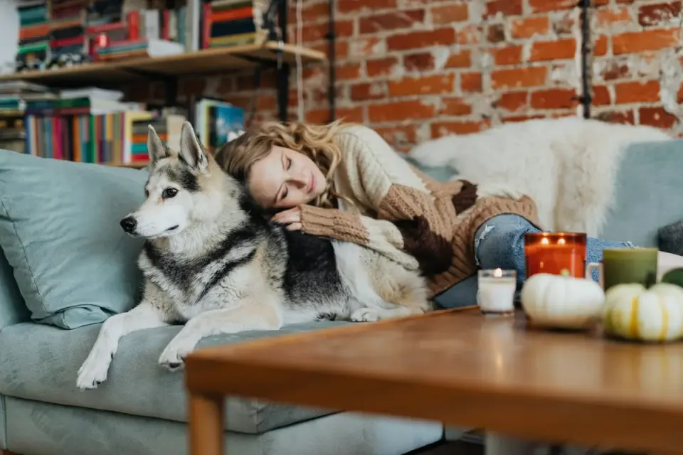 Dog resting beside an owner