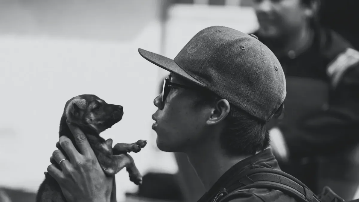 Dog with an owner at home