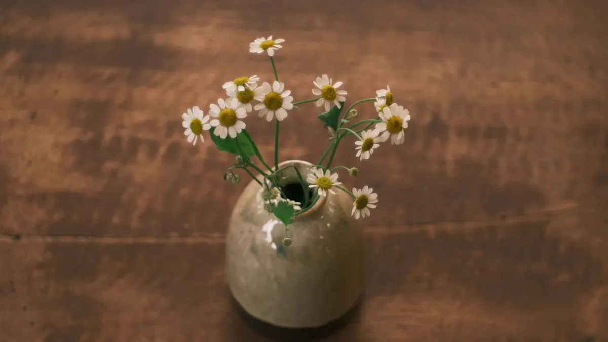 Dried chamomile flowers and valerian root arranged near a resting dog