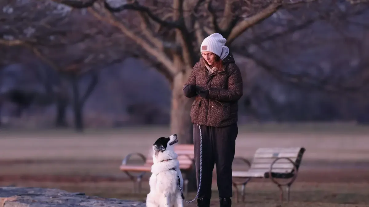 Older dog with an owner in a park
