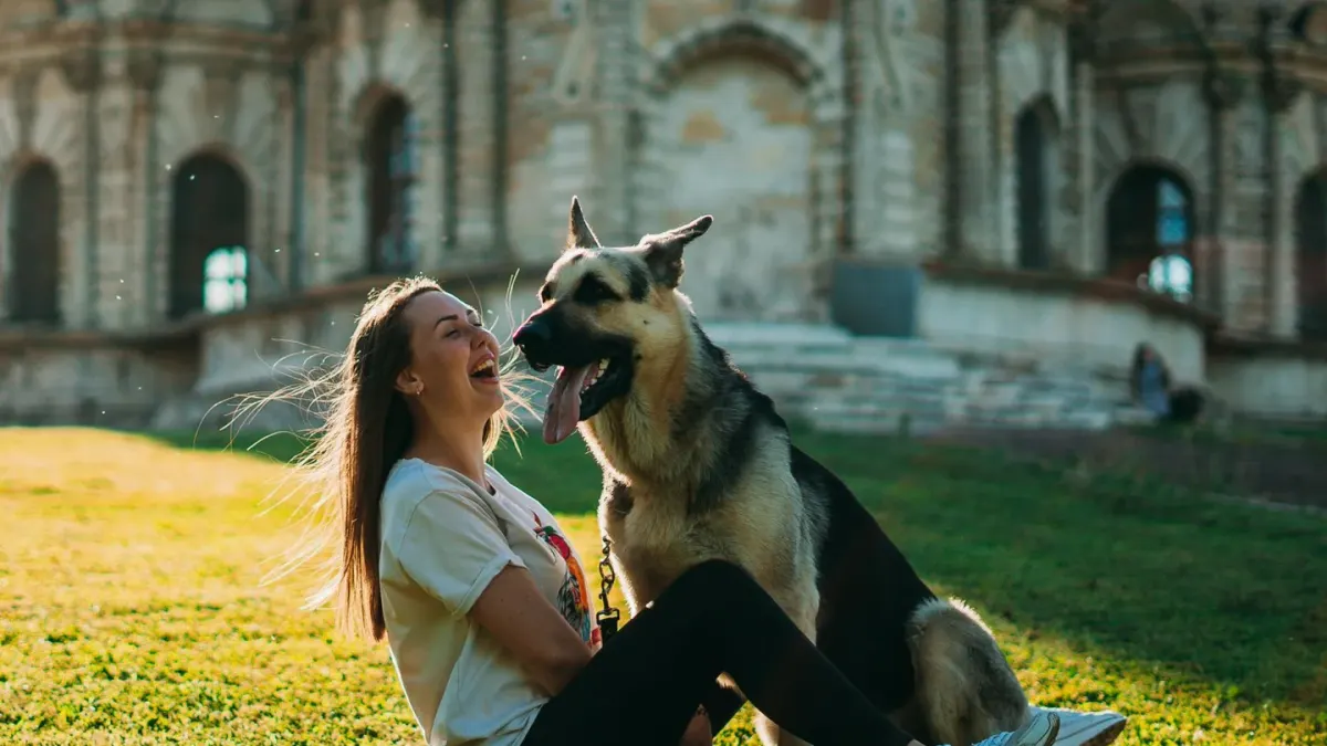 Older dog with an owner in a park