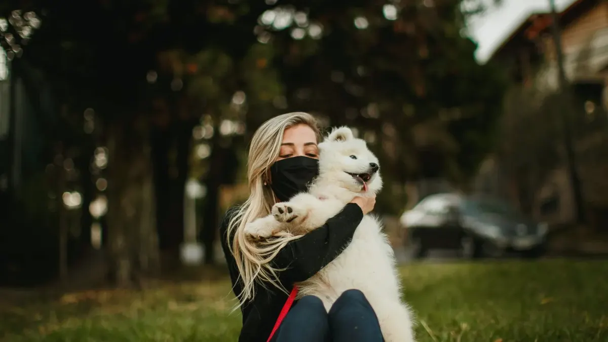 Older dog with an owner in a park