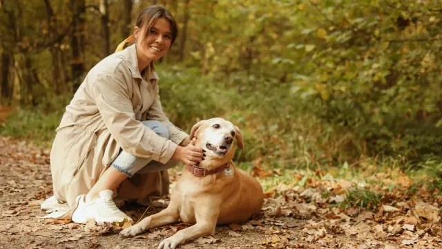 Older dog with an owner in a park