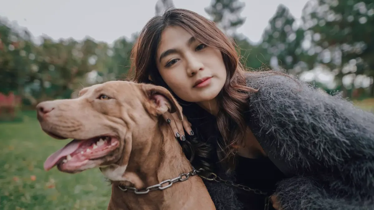 Older dog with an owner in a park