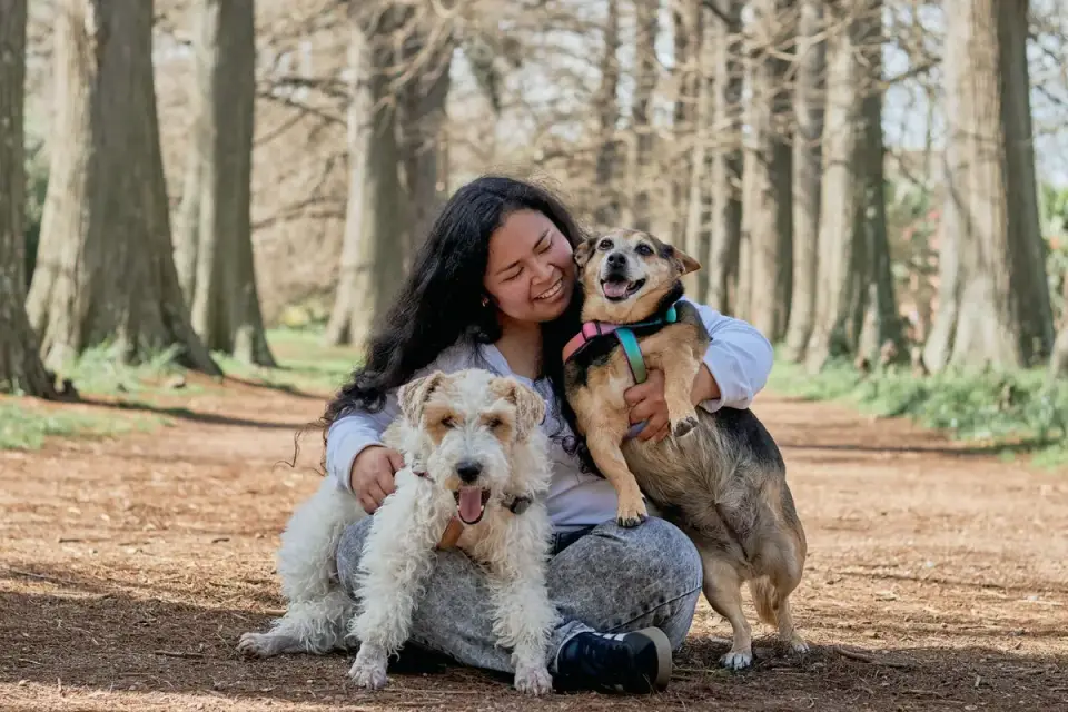 Older dog with an owner in a park