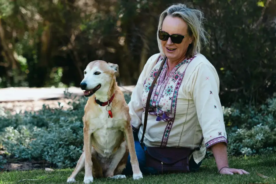 Older dog with an owner in a park