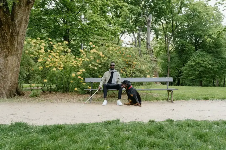 Older dog with an owner in a park