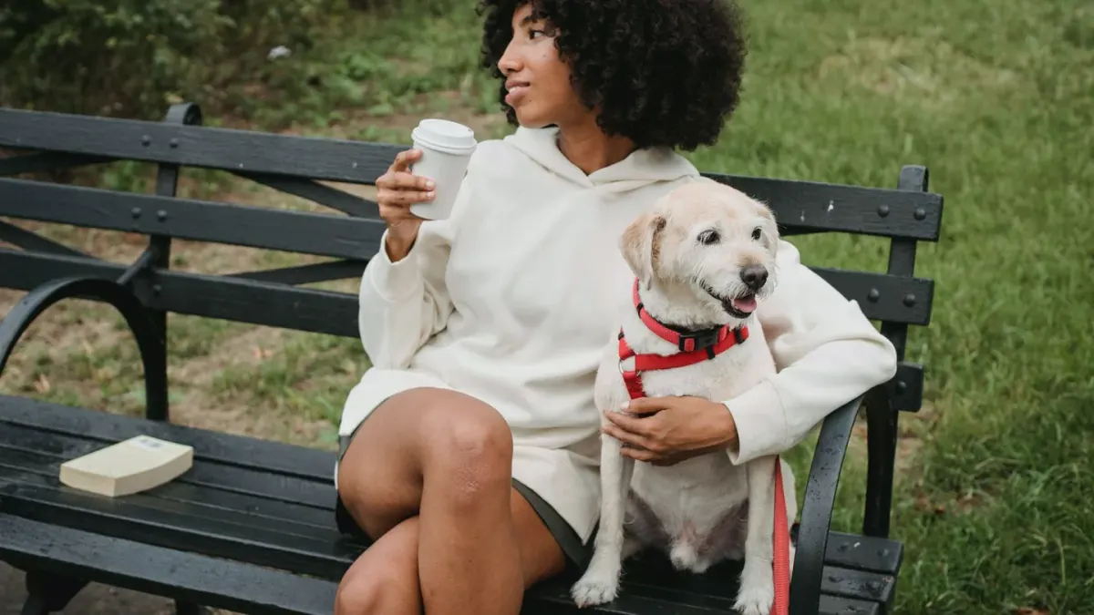 Older dog with an owner in a park