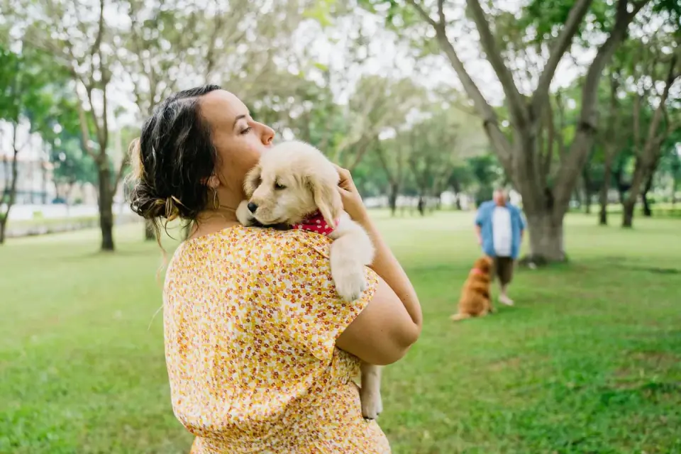 Older dog with an owner in a park