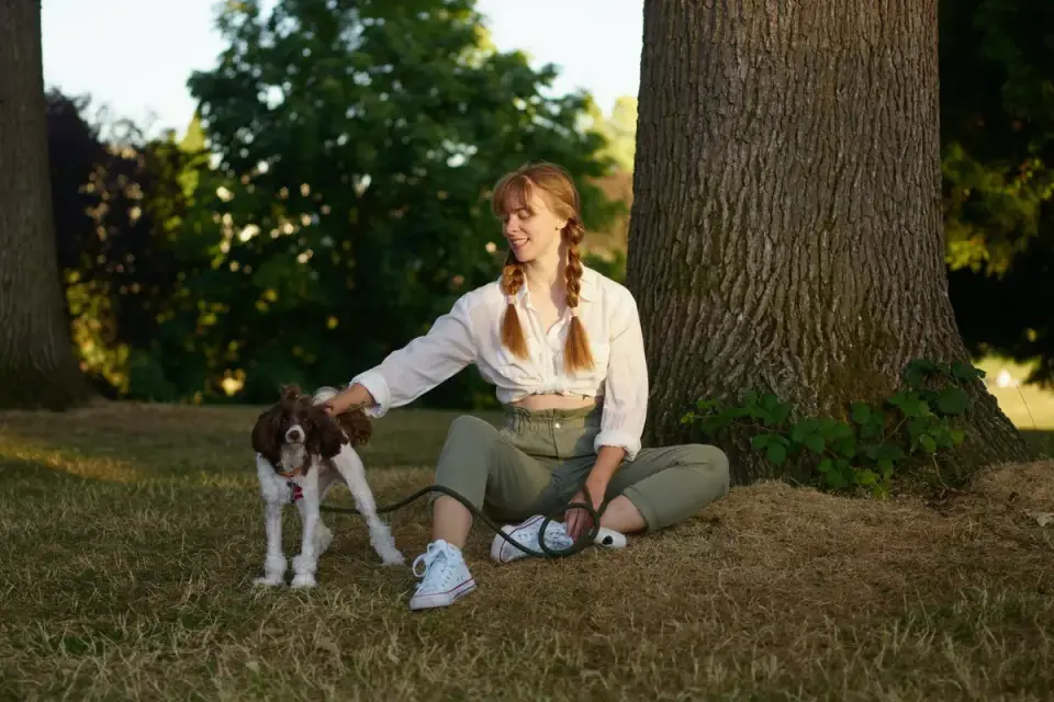 Older dog with an owner in a park