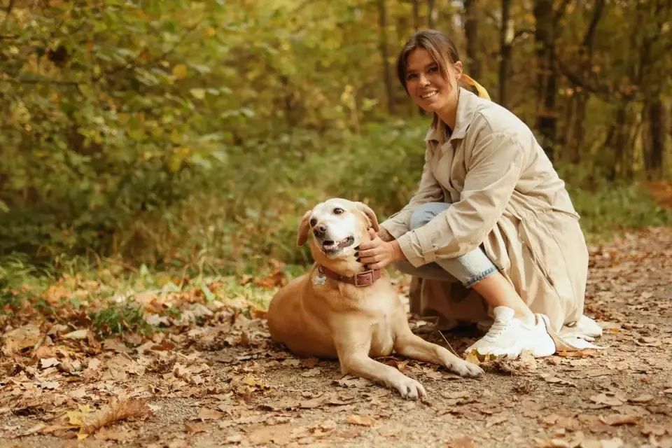 Older dog with an owner in a park