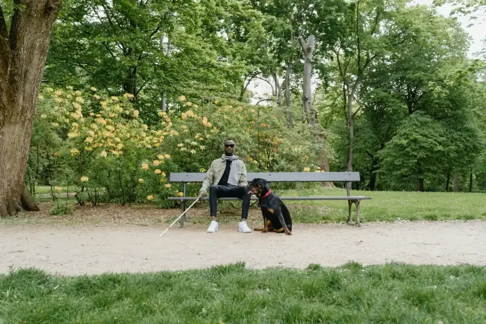 Older dog with an owner in a park