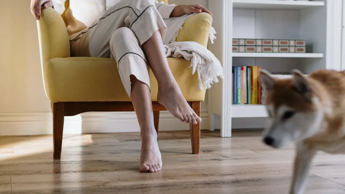Senior dog pausing mid-rise with its hind legs braced against a hardwood floor