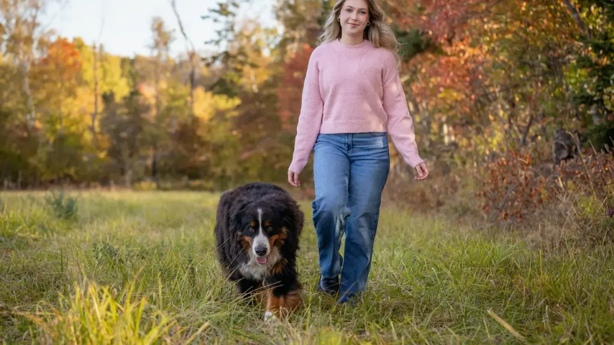 Senior dog walking with an owner