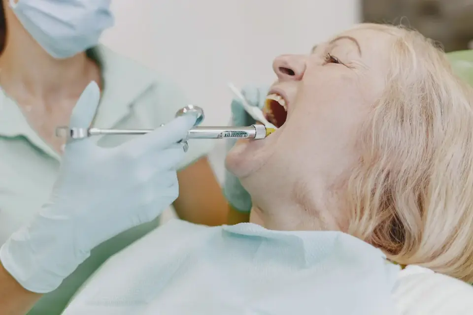 Veterinarian checking a senior dog's teeth and mouth during an exam