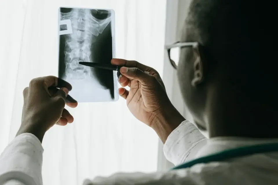 Veterinarian gently examining a senior dog&#x27;s hips and spine during a wellness exam